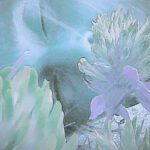 IMG_20170530_151830_704