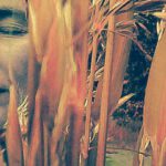 IMG_20170531_125312_851