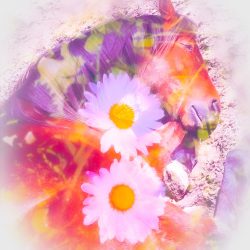 6B41B54A-6BEC-4514-A21E-7F5C33E6C856