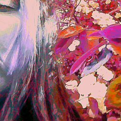 IMG_20170602_144250_184